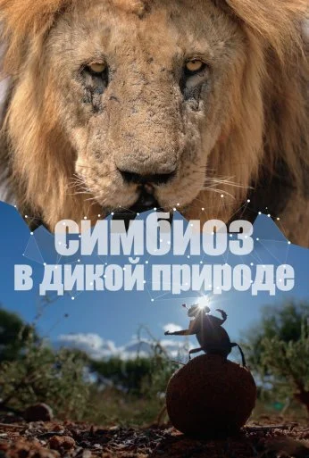 Симбиоз в дикой природе (2023) онлайн бесплатно